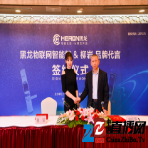 柳岩：我为黑龙指纹锁代言——给家一份安全保障