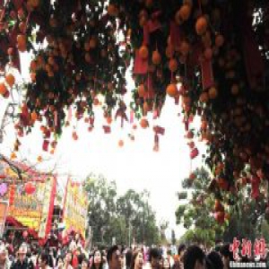 香港市民赴大埔林村许愿树祈福：愿社会和谐稳定