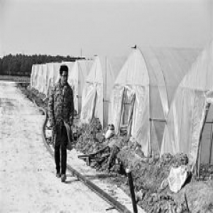 大学生毕业返乡当农民创业 拒绝600万收购生产基地