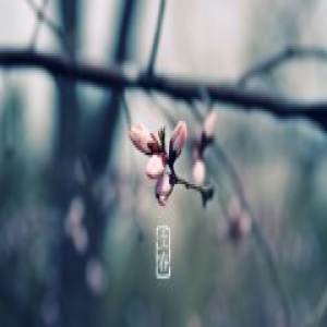 天文专家：今年立春准确时间为2月3日23时34分