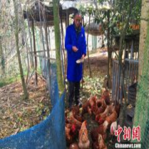 【网络媒体走转改】四川广元抗癌老农的新春愿望