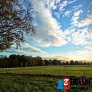 颜歌：口号式反庸俗比诚心诚意的庸俗更让人受不了 | 春节打败无聊