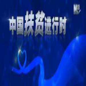 湖北147万贫困人口，何以在一年内脱贫？