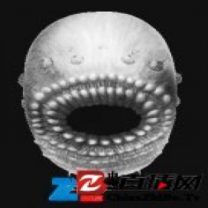 5.35亿岁！毫米级人类远祖至亲长这样