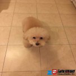 徐昂：圈子永远是邪恶的，嗯 | 春节打败无聊