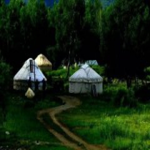 新春之际 尽览哈巴河四季之美