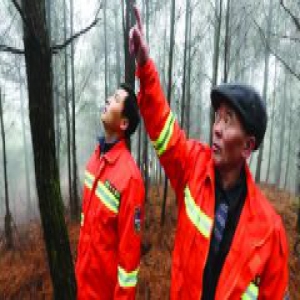 【网络媒体走转改】新春走基层：深山“活地图” 顺海护林人丁小平