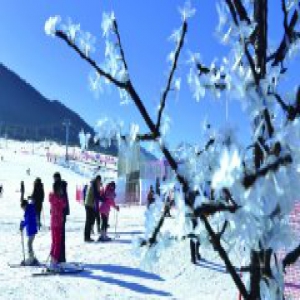 冰雪旅游人气足“农家”钱袋鼓起来