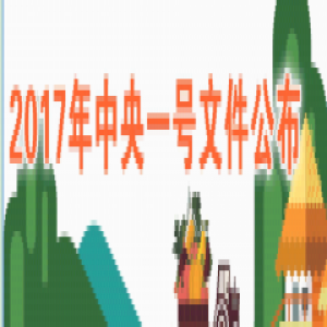 2017年中央一号文件公布 提出深入推进农业供给侧结构性改革