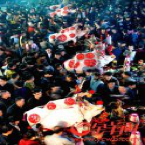 【网络媒体走转改】汕头月浦乡“赛大猪” 传统民俗吸引全村出动年味浓