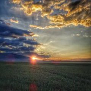 昭苏 与你一骑四季