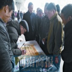 海报当简历 郑州解放路立交桥下“招聘会”很热闹