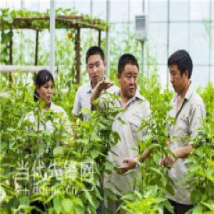 【治国理政新实践·贵州篇】农村“三变”改革：打通农业市场化道路