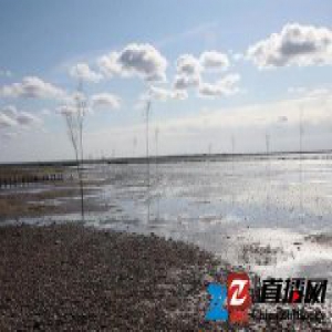 为帮助人们认识滩涂，丹麦人做了一个很特殊的游客中心