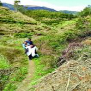 独居老人晕倒 “最美医生”背他走几公里下山(图)