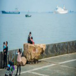 滨江森林公园初春赏梅 情人节游园“买一赠一”