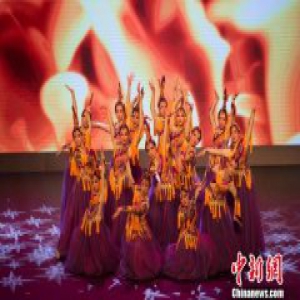 澳门首次举办“平安濠江──2017警民新春联谊晚会”