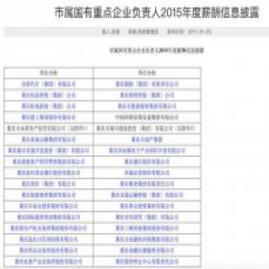 重庆34家国企一把手年薪多少？ 官方首次披露