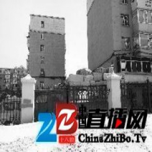 伪满皇宫每年修护宫墙花四五十万 1个月被撞7次