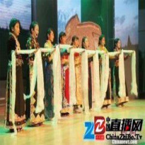 藏历火鸡新年 473名藏娃在常州别样过新年