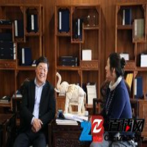 人大代表：电视剧是丧失文学尊严的重灾区