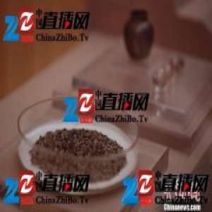 百余件“千年古港”文物精品在上海博物馆展出