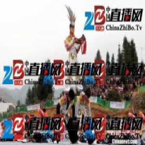 贵州六盘水小花苗“跳花节”： 跳花树祭祖先