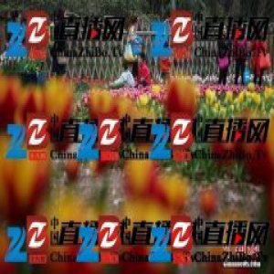 古人赏花奇葩说：收集花瓣当坐垫 请卖馄饨小贩同行