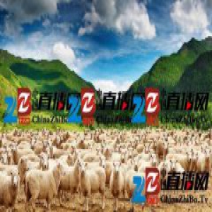 川普当选后，申请新西兰公民的美国人上升了 70%