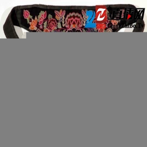 1200余件西南少数民族背扇集中亮相