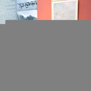 福建女画家80余幅画作展示美丽西藏