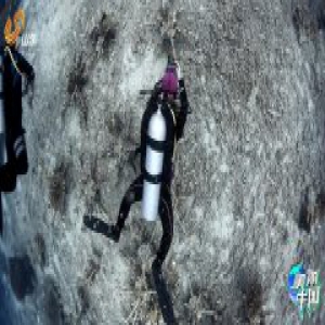 《美丽中国》首播引热议 65岁“父王”为“中华对角羚”赋名