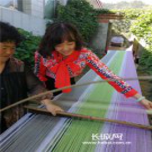 【党徽熠熠】80后女驻村干部：盛放在扶贫一线的“铿锵玫瑰”