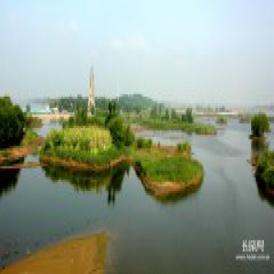 水清岸绿入画来 ——滹沱河生态修复工程纪实