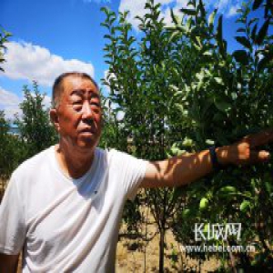 【党徽熠熠】赵芝悦：13年一心只为山村蝶变