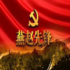 最新丨河北全省党内统计数据抢先看