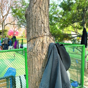 公园不在大小 适老在于细节