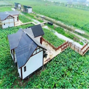 致富有奇招 发现《四十年四十村》中的“美丽”经济