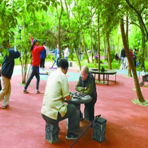 东城利用荒地建成口袋公园