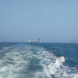 【我爱这片蓝色的国土】渤海深处“造田”4人1年养鱼千吨!这座海洋牧场创两个世界第一