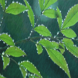 5市雷雨马上到！河北迎大范围降雨！三伏天要来了，这些一定要注意…