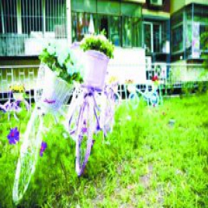 “僵尸”自行车巧变社区五彩新景观