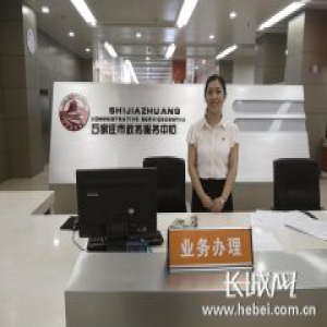 【探访窗口单位共产党员先锋岗】石家庄市行政审批局张秀娟：践行优秀共产党员精神 为