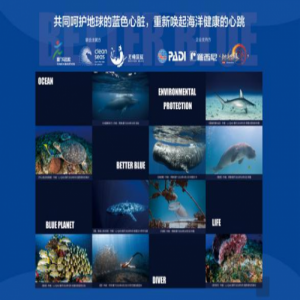 《剑网3》加盟联合国公益活动 PVP新赛事即将上线