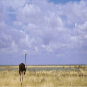 在非洲做中医是种什么体验 这位浙江医生还给儿子取名“缘非”