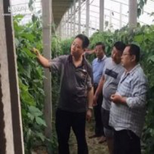 舍小我为大家 身上有土心中有数---邯郸市委防范办驻胡葛村第一书记曹学曾