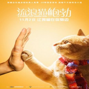 《流浪猫鲍勃》举办20城看片会 告白宣言海报曝光引人心动