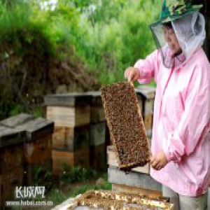 陈秀英：“甜蜜事业”铺就脱贫路
