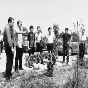 三地联动 环境违法无处躲藏