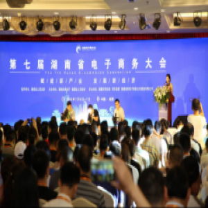 “赋能新产业 发展新经济”第七届湖南省电子商务大会胜利召开